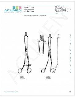 Endospecula 245